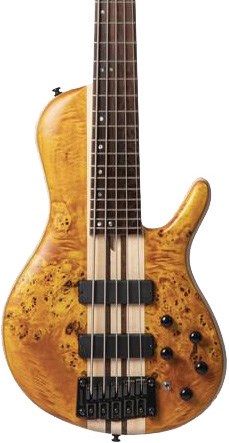 Cort A5 Plus SC 5-String Bass with Case, Swamp Ash, Amber Open Pore