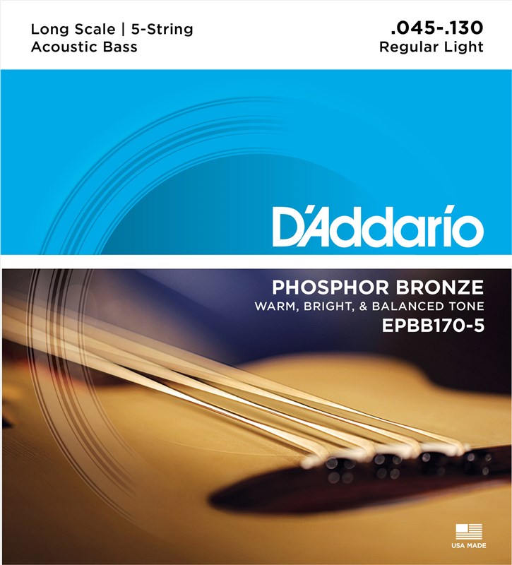 D Addario EPBB170 5 Phosphor Bronze 5 String Acoustic GAK