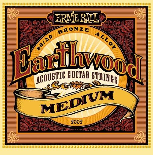 Ernie Ball 2002 Earthwood 80 20 Bronze Acoustic Medium GAK