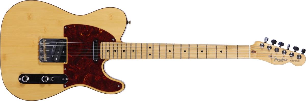 natural telecaster tortoise