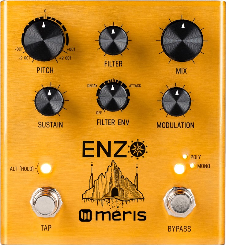 Meris Enzo Multi-Voice Synth Pedal