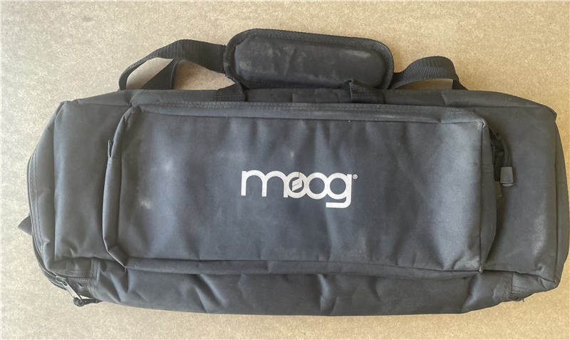 Theremini deals gig bag