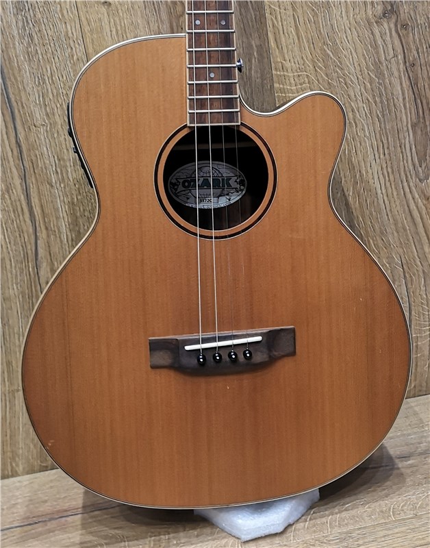 electro acoustic tenor guitar