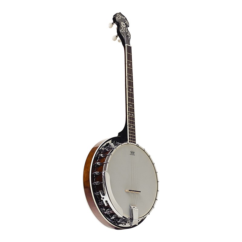 Banjo electric online