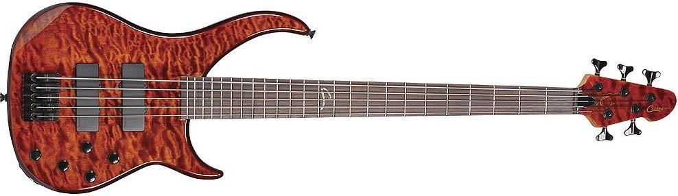 peavey cirrus 5 string