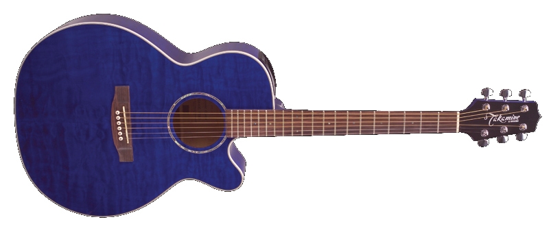 Takamine deals eg 440