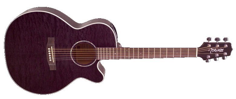 Takamine g store series eg440c