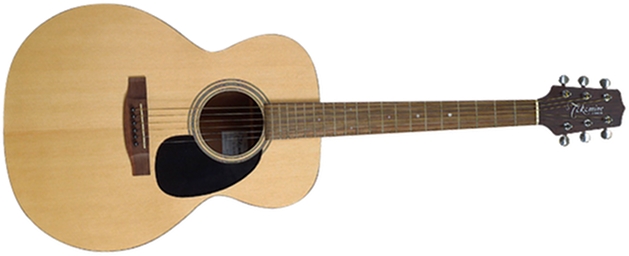 takamine g 220