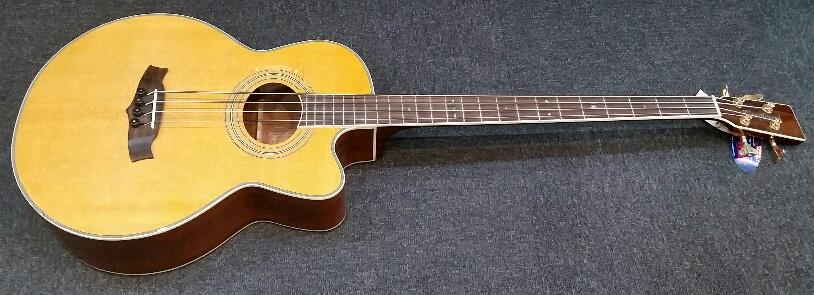 Tanglewood acoustic store bass