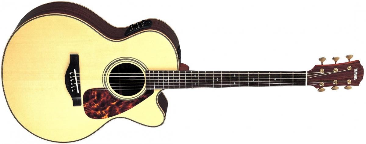 fiero acoustic guitar price